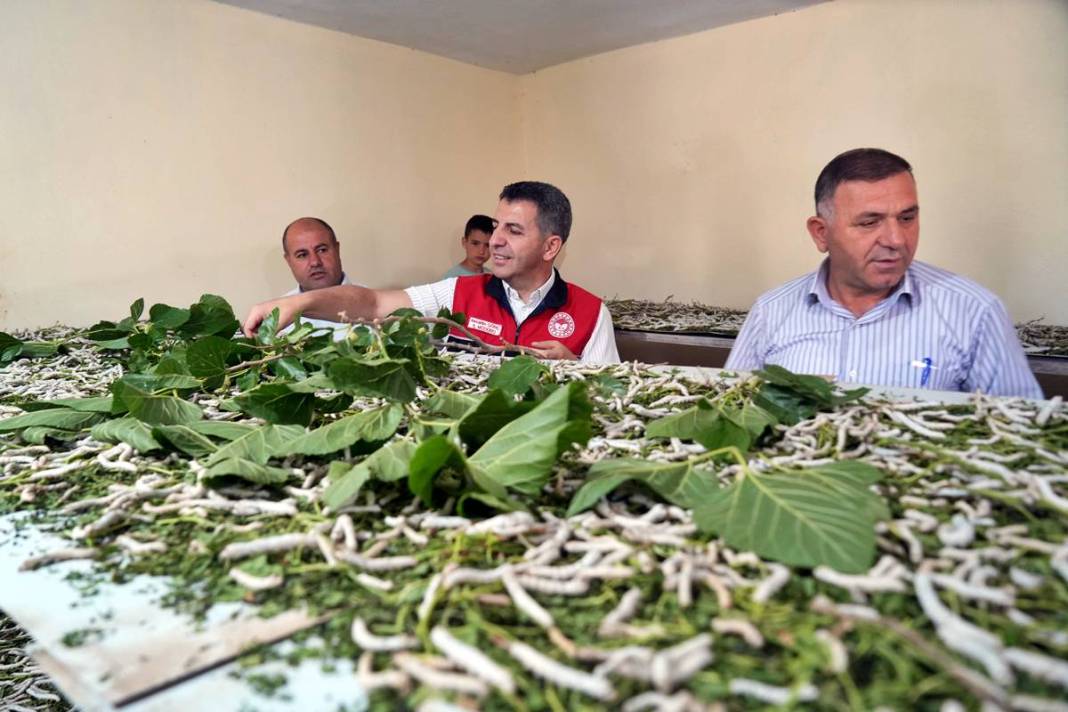 Yeni bir gelir kapısı: 50 günde binlerce lira kazanma fırsatı! Devletten alım garantisi var 3